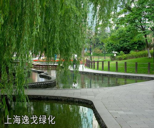 上海長(zhǎng)寧園林綠化施工